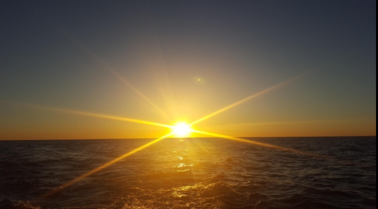marinaBoat
