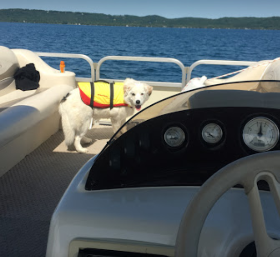 marinaBoat