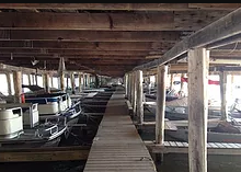 marinaBoat