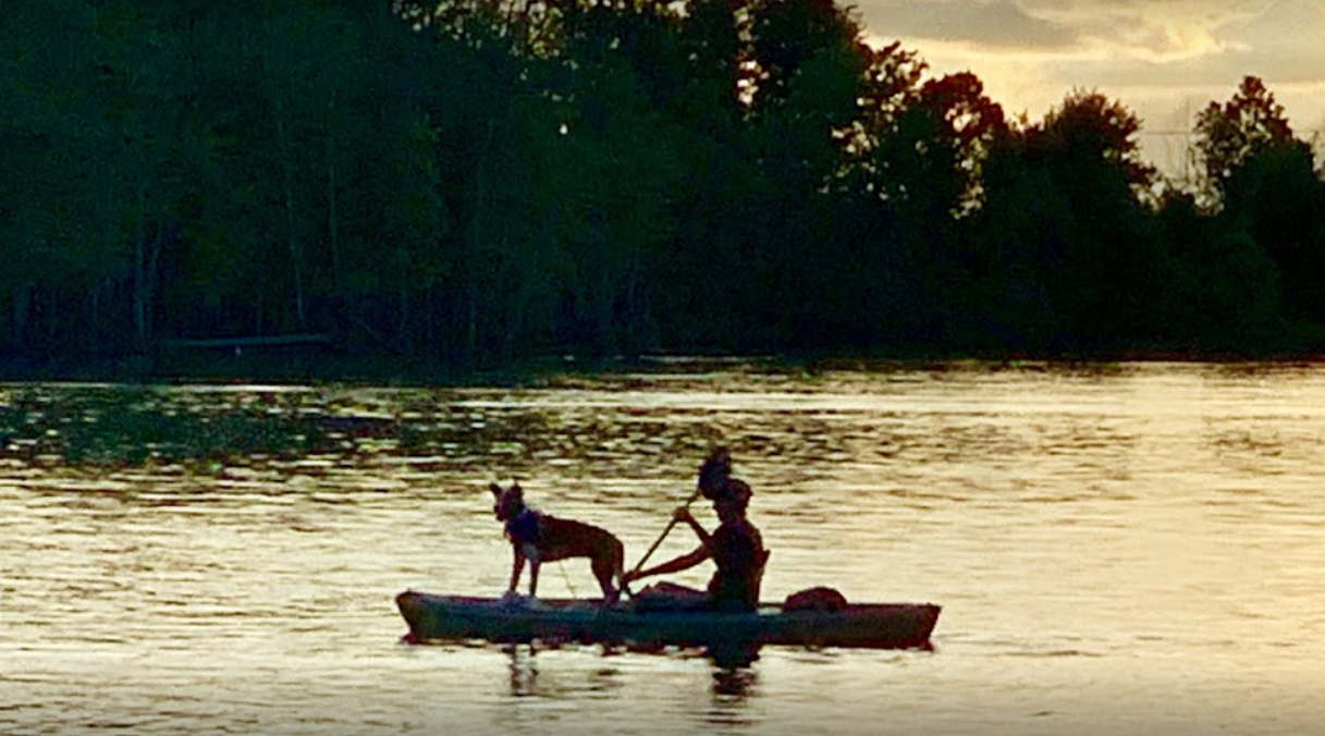 marinaBoat