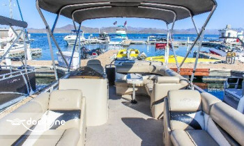Pleasant Harbor Marina boat rental operation on Peoria, AZ 7