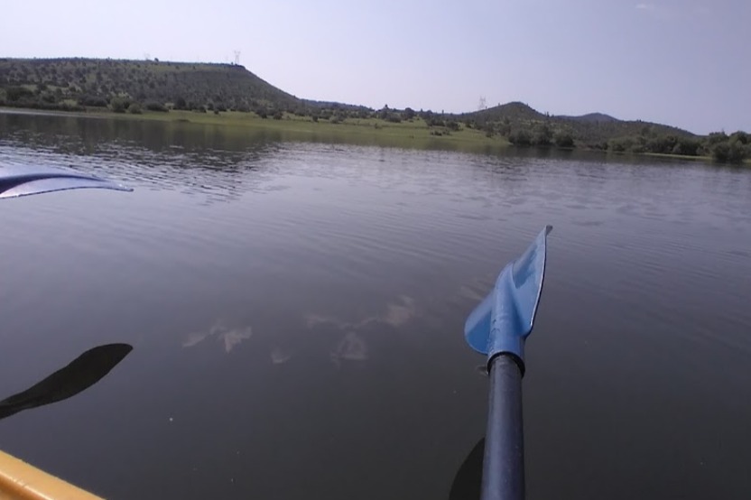 marinaBoat