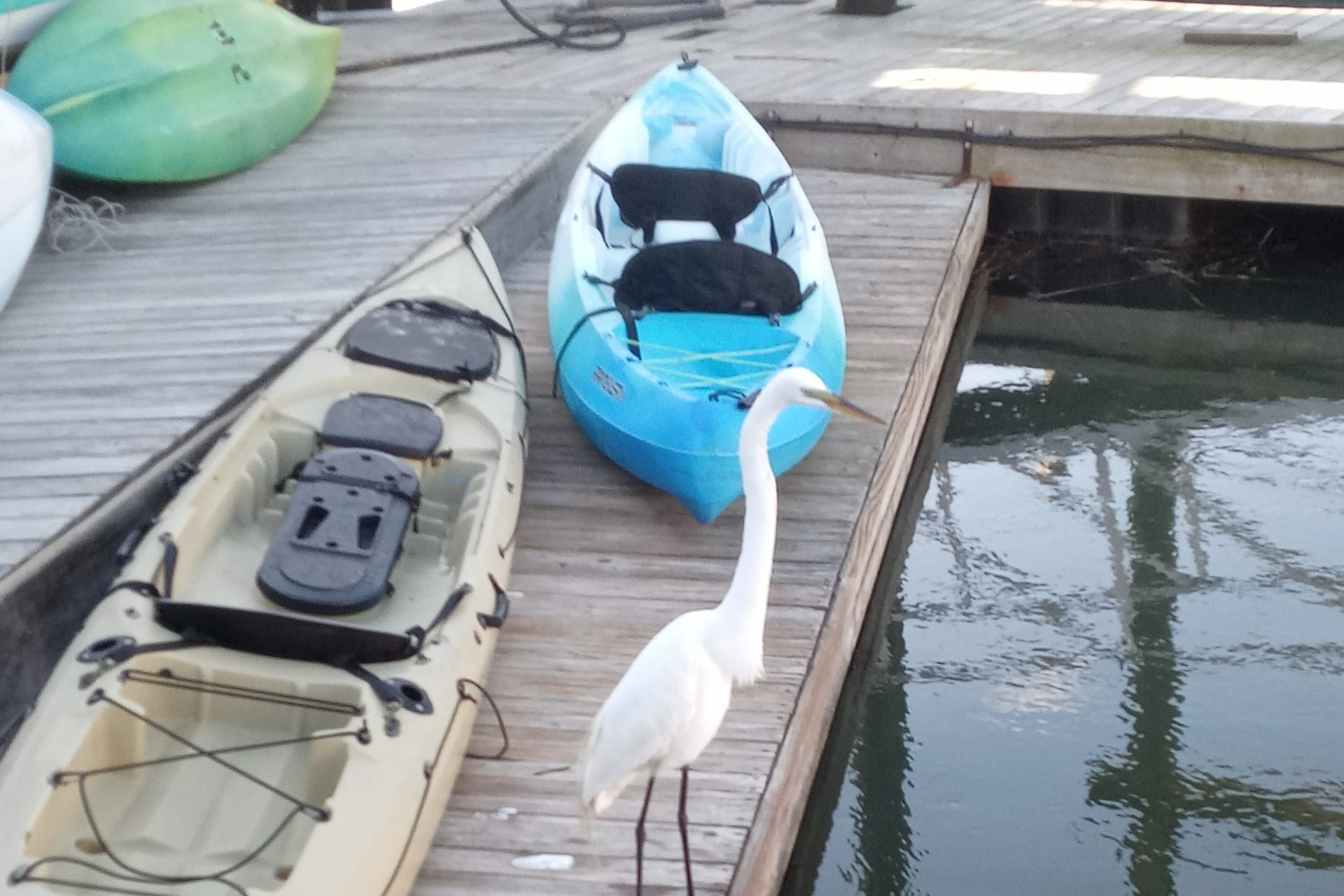 marinaBoat