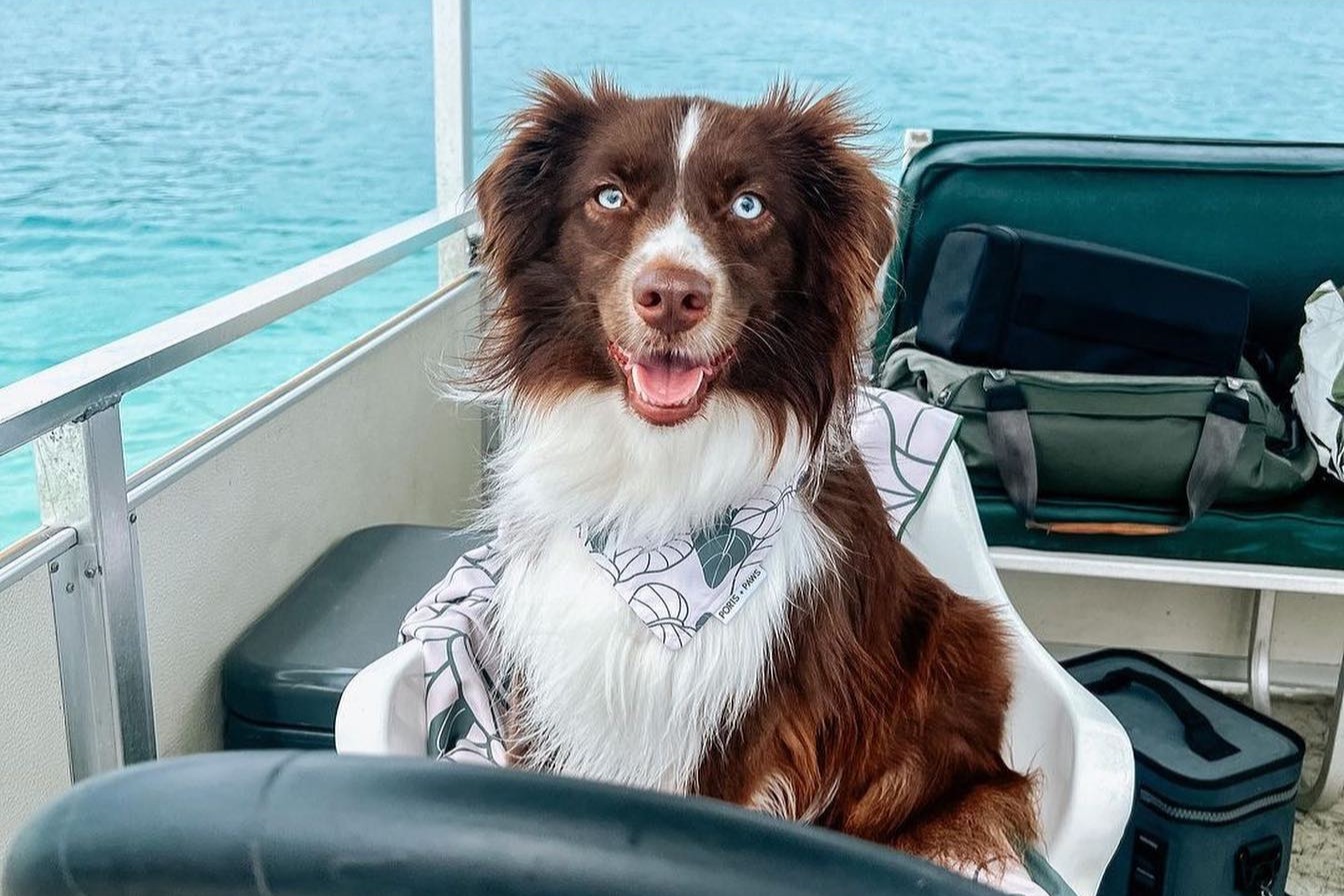 Top Kaneohe Boat Rentals from Marinas start at 69