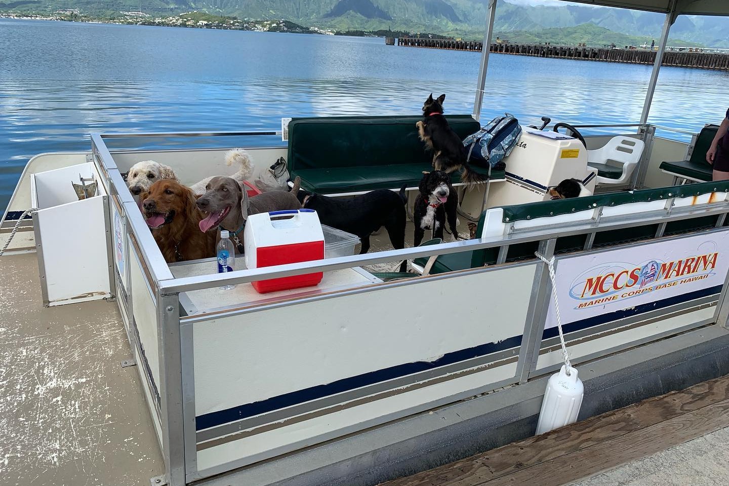 Top Kaneohe Boat Rentals from Marinas start at 69