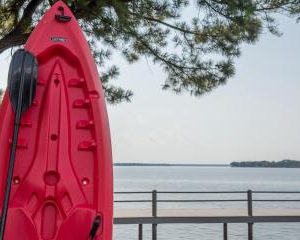 marinaBoat