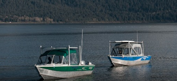 marinaBoat