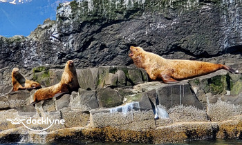 Alaskan 4 Star Charters boat rental operation on Alaska, AL 3