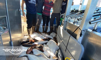 Alaskan 4 Star Charters boat rental operation on Alaska, AL 5