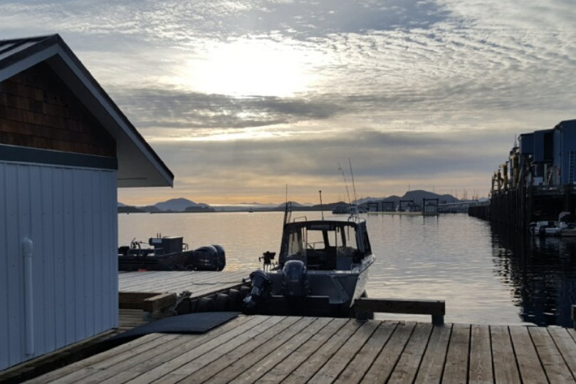 marinaBoat
