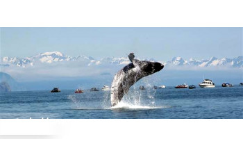 Big Jim’s Charters boat rental operation on Juneau, AK 1