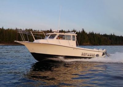marinaBoat