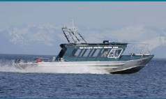 marinaBoat