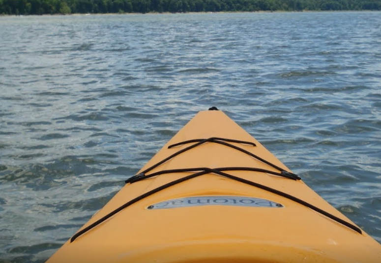 marinaBoat