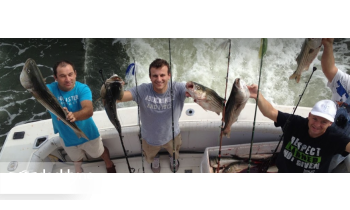Islander Sport Fishing Charters boat rental operation on Old Saybrook, CT 6