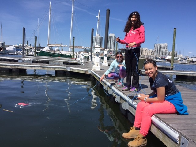 marinaBoat