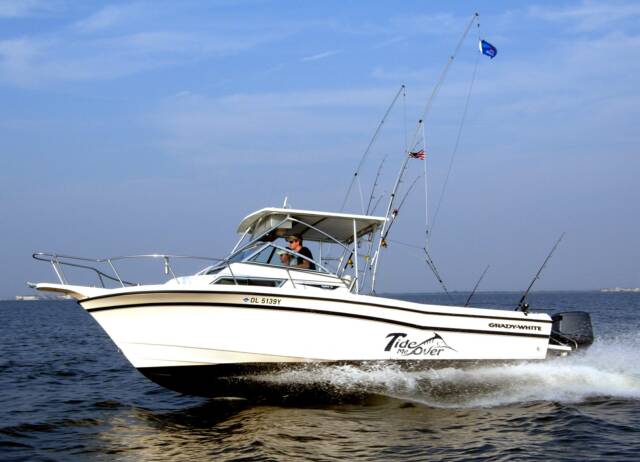 marinaBoat
