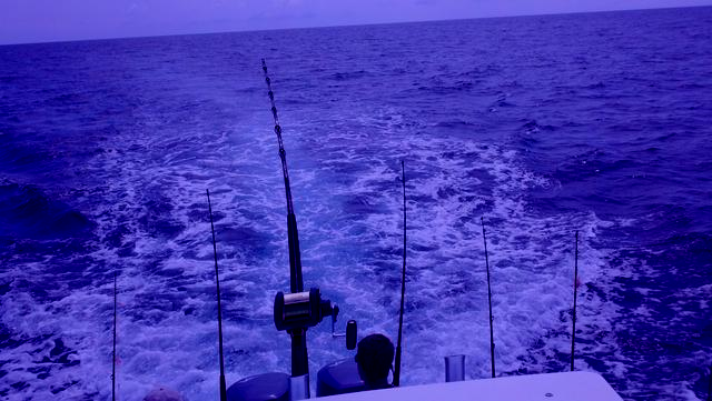 marinaBoat