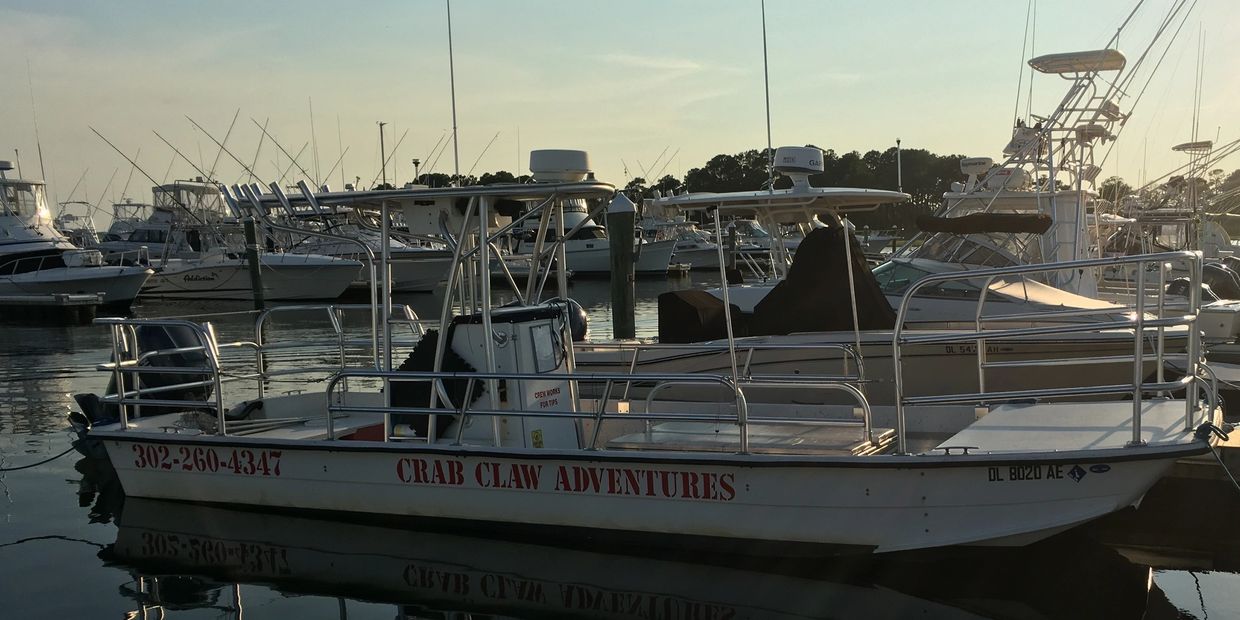 marinaBoat