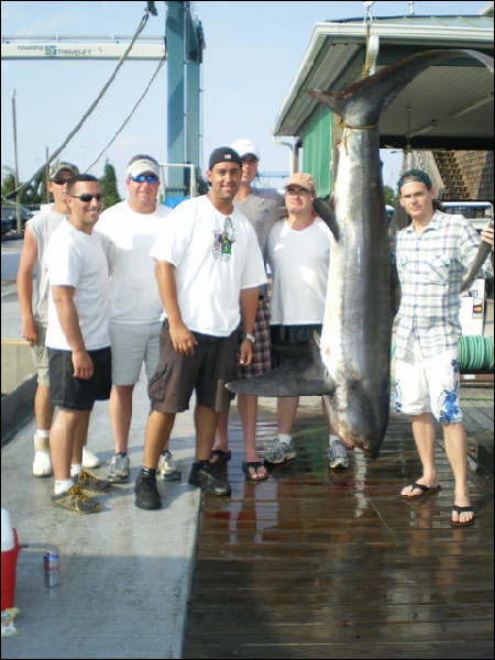 marinaBoat