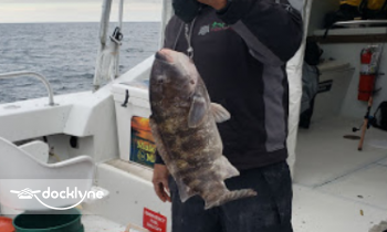 KATYDID SPORT FISHING boat rental operation on Lewes, DE 1
