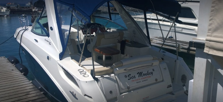 marinaBoat
