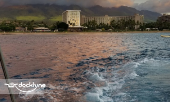 Sea Monkey Private Charters boat rental operation on Lahaina, HI 7