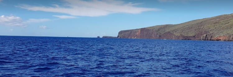 marinaBoat