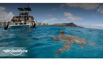 Action sports Hawaii boat rental operation on Honolulu, HI 6