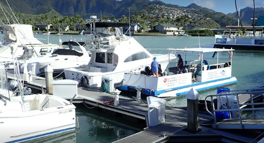 marinaBoat