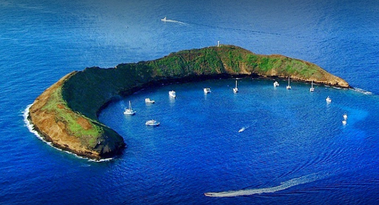 marinaBoat