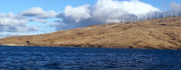 marinaBoat
