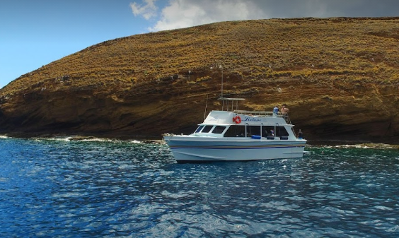 marinaBoat