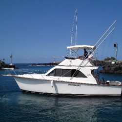 marinaBoat