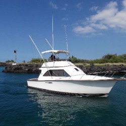 marinaBoat