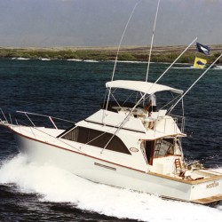 marinaBoat