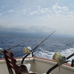 marinaBoat