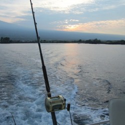 marinaBoat