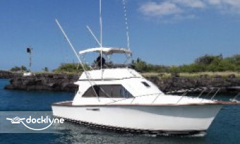 Medusa Sportfishing boat rental operation on Honolulu, HI 1