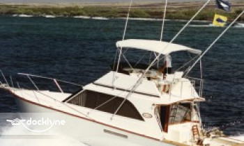 Medusa Sportfishing boat rental operation on Honolulu, HI 2