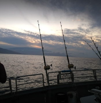 marinaBoat
