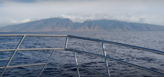 marinaBoat