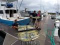 marinaBoat