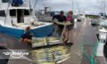 Chupu Charters Inc boat rental operation on Haleiwa, HI 5