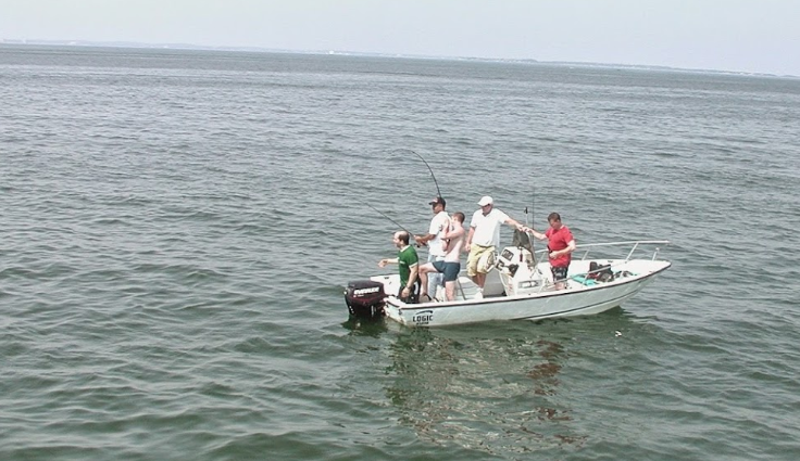 marinaBoat