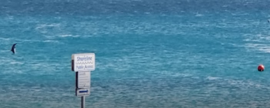 marinaBoat