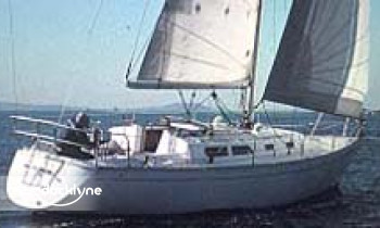 Boston Harbor Sailing Club boat rental operation on Boston, MA 3