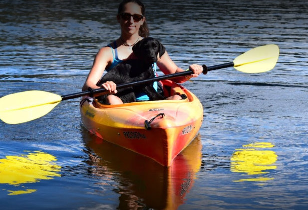 marinaBoat