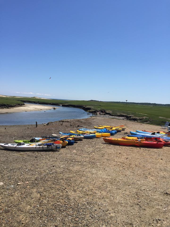 marinaBoat