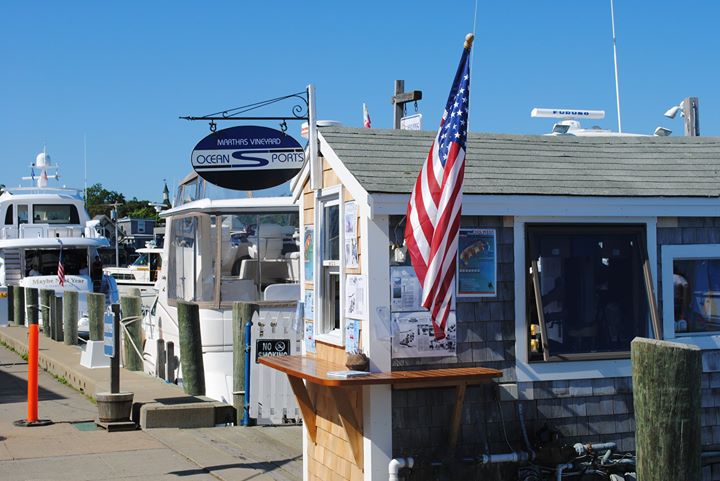 marinaBoat